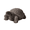 Grey, variant on XBrand 16.1"L Grey Polystone Walking Turtle Statue, Indoor Outdoor Décor, Living Room Décor, Turtles Sculptures, Yard Statues