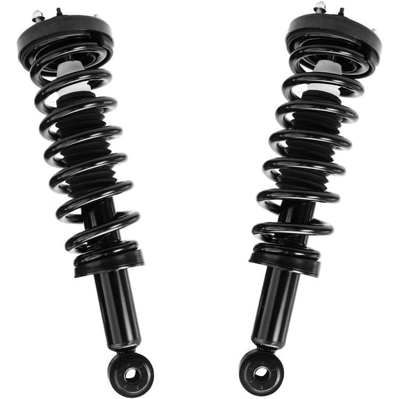 Detroit Axle - Front Struts for 2004-2008 Ford F-150, 2006-2008 Lincoln Mark LT Complete 2 Struts with Coil Spring 2005 2006 2007 Replacement Quick Install Ready Struts Assembly