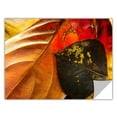 thumbnail image 2 of Dean Uhlinger "Fall Impression 4" Removable Wall Art, 2 of 2