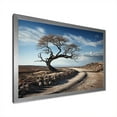 thumbnail image 3 of Designart "Charming African Tree Photography" Africa Picture Framed Wall Art Prints, 3 of 5