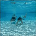 thumbnail image 4 of SwimWays Disney Finding Dory Diving Toys - Kids Pool Toys - Finding Dory Diving Rings, 4 of 4