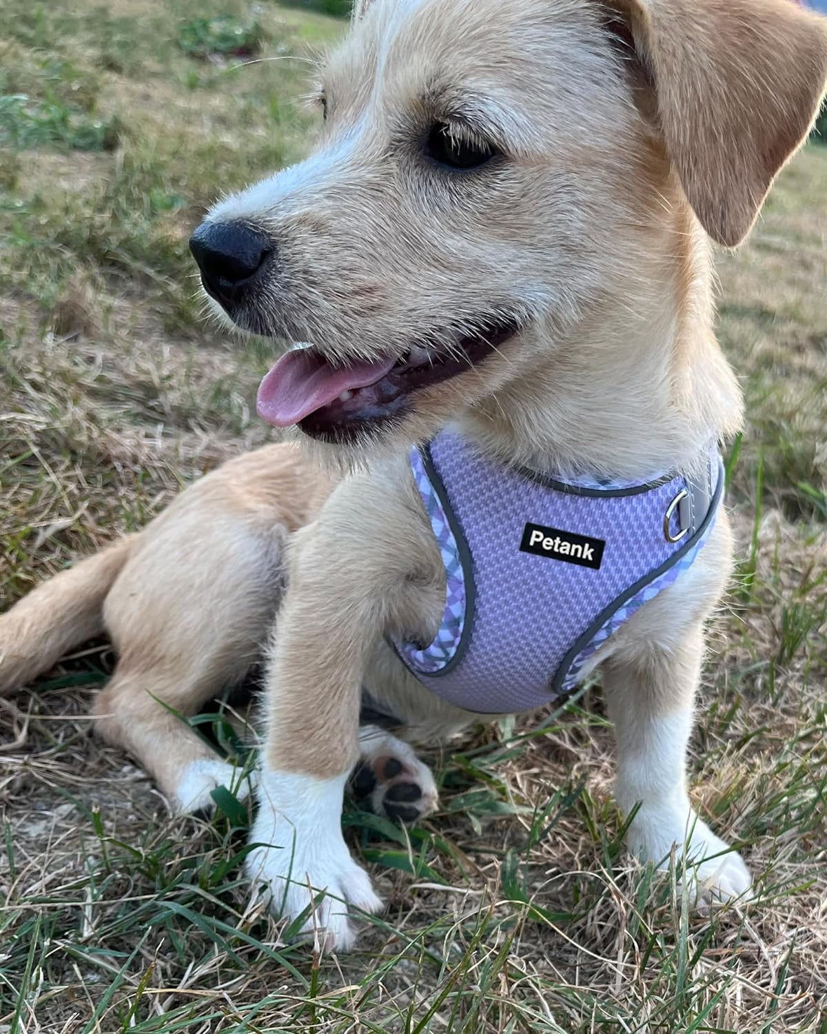 Dog Harness for Small Medium Dogs No Pull, Puppy Harness and Leash Set, Step in Dog Harness for Walking, Running, Training, Small Dog Vest(Purple, S)