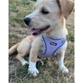 thumbnail image 2 of Enkarl Dog Harness for Small Medium Dogs No Pull, Puppy Harness and Leash Set, Easy Walk Dog Harness for Walking, Running, Training, Small Dog Harness, Medium Dog Harness (Purple, XXS), 2 of 6