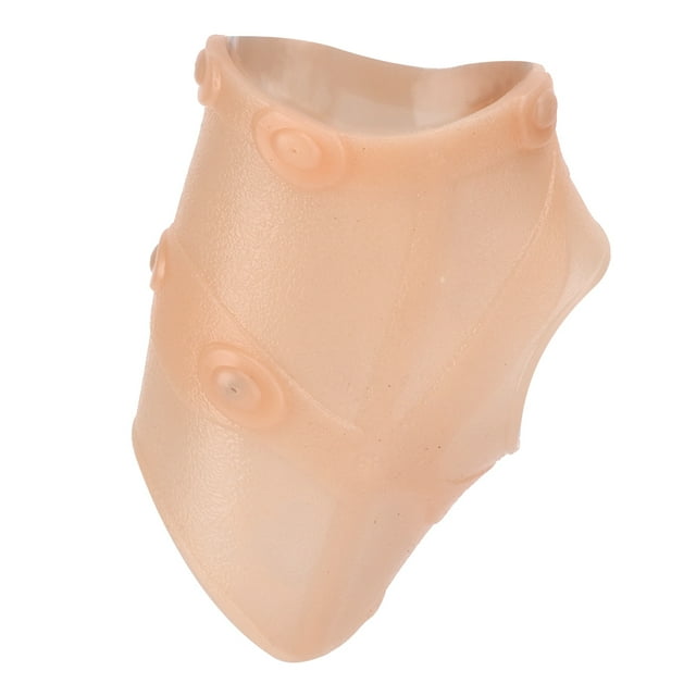 Tobillera magnética Sebs para deportes, protección para el tobillo, para hombres y mujeres