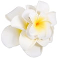 thumbnail image 3 of BRIGHTFUFU 4 piezas flores hawaianas pinzas para el cabello pasador nupcial playa tropical boda plumeria flor mujeres fiesta nupcial orquídea horquilla accesorios, 3 of 7