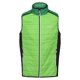 thumbnail image 1 of Regatta - Chaleco Halton Baffled VII Colores Sólidos para Hombre (Verde Jasmín, Campo Verde), 1 of 5