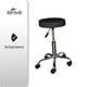 thumbnail image 5 of Silla Cama LENIVE Para Faciales Color Negro Con Banco, 5 of 6