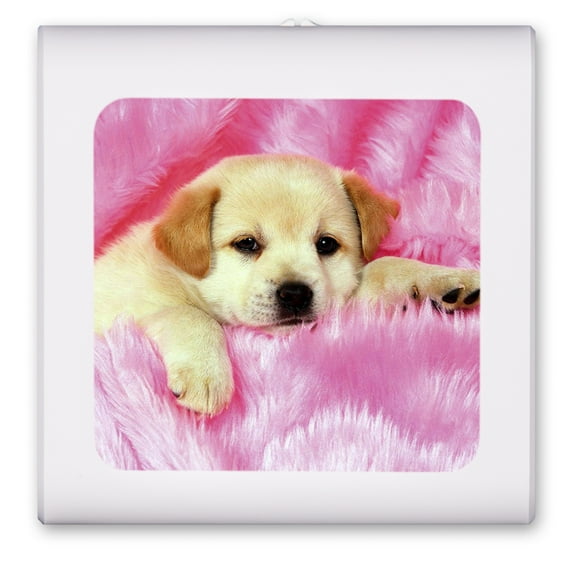 Plug in Dimmable LED Night Light with Dusk to Dawn Auto Sensor, Adjustable Brightness, Warm Light, Auto On/Off Nightlight for Bathroom, Hallway, Nursery, Bedrooms - Lab Puppy