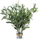 thumbnail image 1 of Ramas de olivo artificiales YONGSHENG 37 pulgadas plantas falsas verdes, 1 of 5