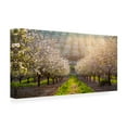thumbnail image 3 of Canvas Wall Art - Azriel Yakubovitch 'Golden Almonds' Wall Art for Living Room, Bedroom, or Office Décor by Trademark Fine Art - 32 x 16 Inches, 3 of 4