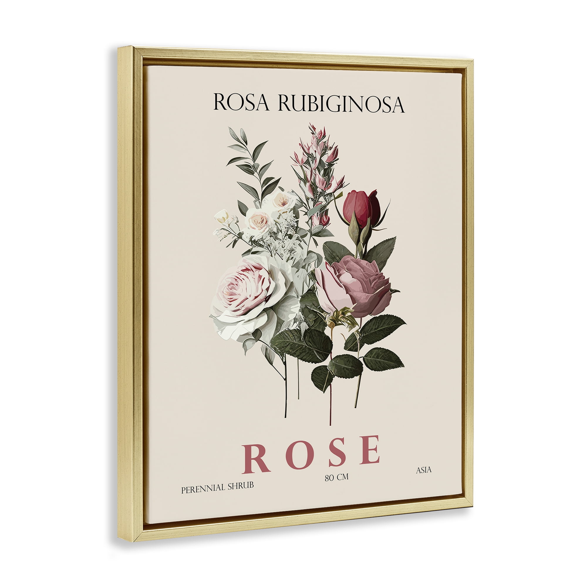 Stupell Industries Natural Rose Bundle Gold Framed Floater Canvas Wall Art, design by Christopher Giampietro