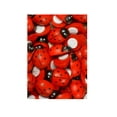 thumbnail image 4 of Wood Flatback Scrapbook Ornament Ladybug Button (1"- 100 pcs), 4 of 6