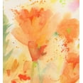thumbnail image 2 of Golden, Sheila 15x16 White Modern Wood Framed Museum Art Print Titled - Windblown Poppies #2, 2 of 4