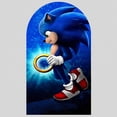 thumbnail image 3 of Fondo de Sonic con forma de erizo corriendo redondo, fondo para fiesta de cumpleaños de niños, pancarta de superficie cilíndrica, accesorios de decoración para fotografía, 3 of 5