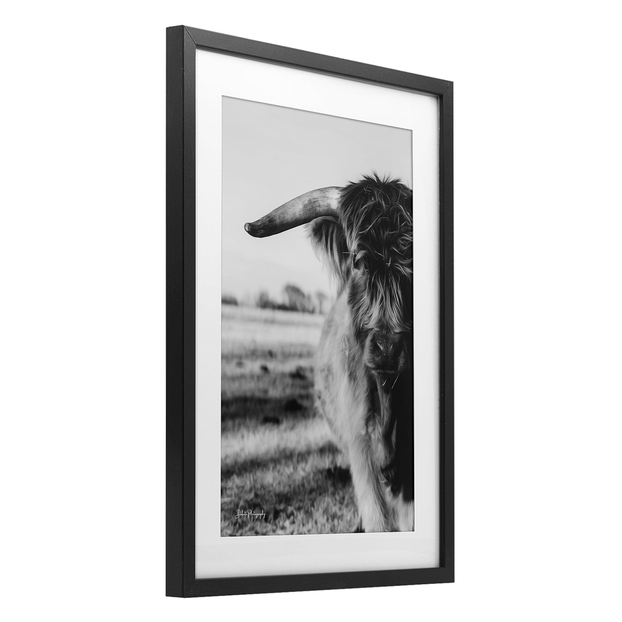 Stupell Industries Baby Cattle in Monochrome Black Framed Print Under Glass, design by Dakota Diener
