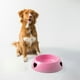thumbnail image 1 of pstuiky Tazón para cachorros Tazón para gatos Tazón para comida Tazón para mascotas que evita vuelcos Tazón para perros y gatos Tazón para agua potable, 1 of 6