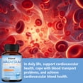 thumbnail image 5 of Didacat Triple Complex Magnesium Supplement,with Malate Glycinate and Citrate,300mg ,60 Vegetable Capsules, 5 of 8