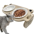 thumbnail image 2 of Cuencos Para Mascotas Para Perros Y Gatos, Plato Desmontable, Estante De Alimentación Inclinable Para Suministros Para Mascotas Yuarrent PT002238-00, 2 of 6