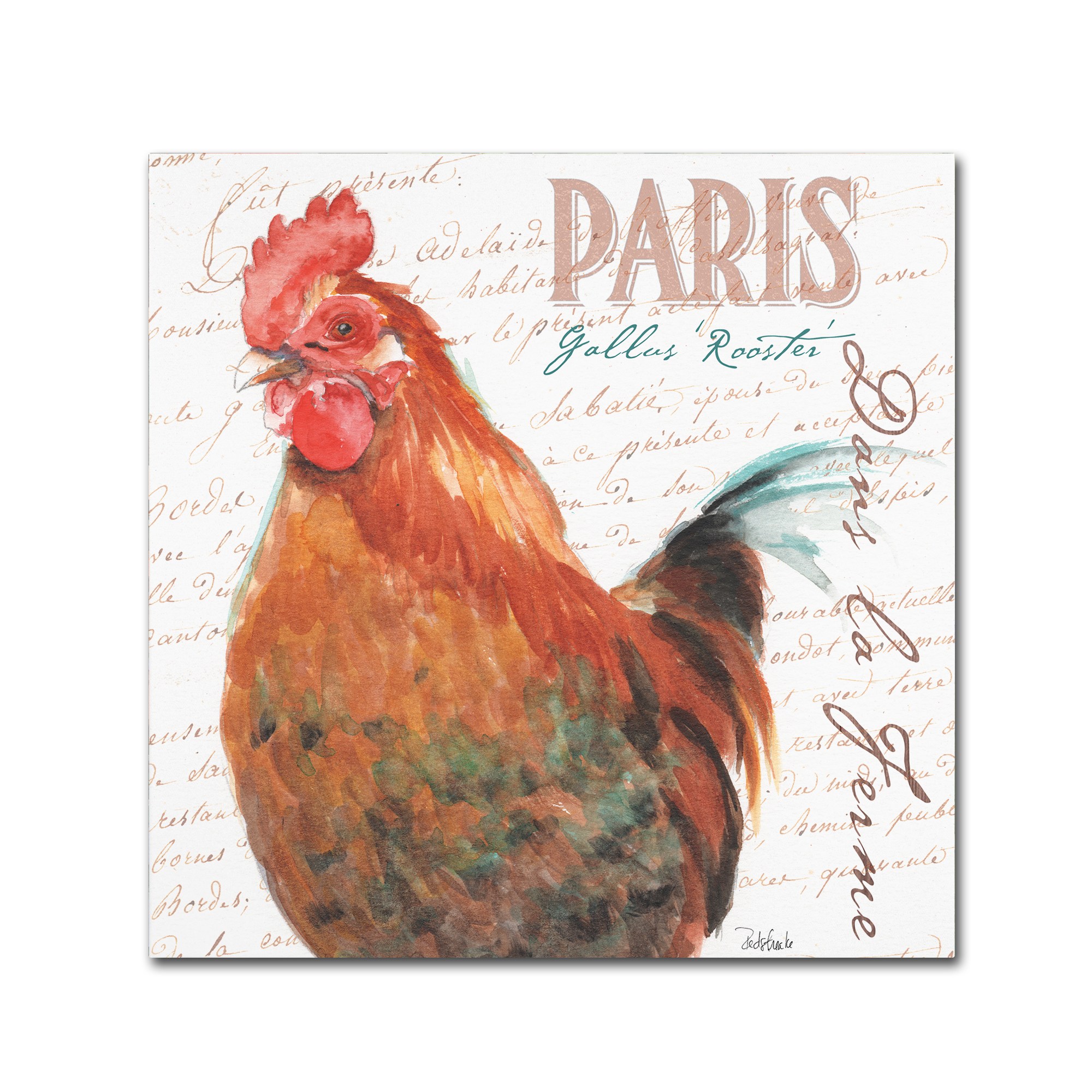 Trademark Fine Art "Dans la Ferme Rooster I" Canvas Art by Jennifer Redstreake