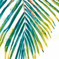thumbnail image 2 of Vess, June Erica 12x12 White Modern Wood Framed Museum Art Print Titled - Palm Wonderful I, 2 of 4