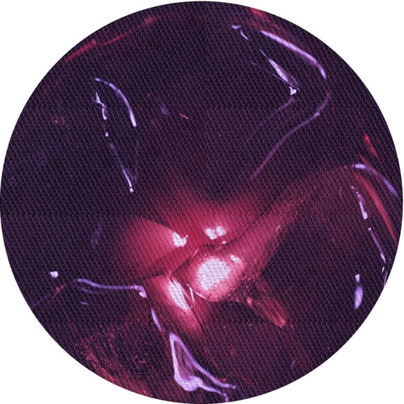 Ahgly Company Machine Washable Indoor Round Transitional Purple Jam Purple Area Rugs, 3' Round