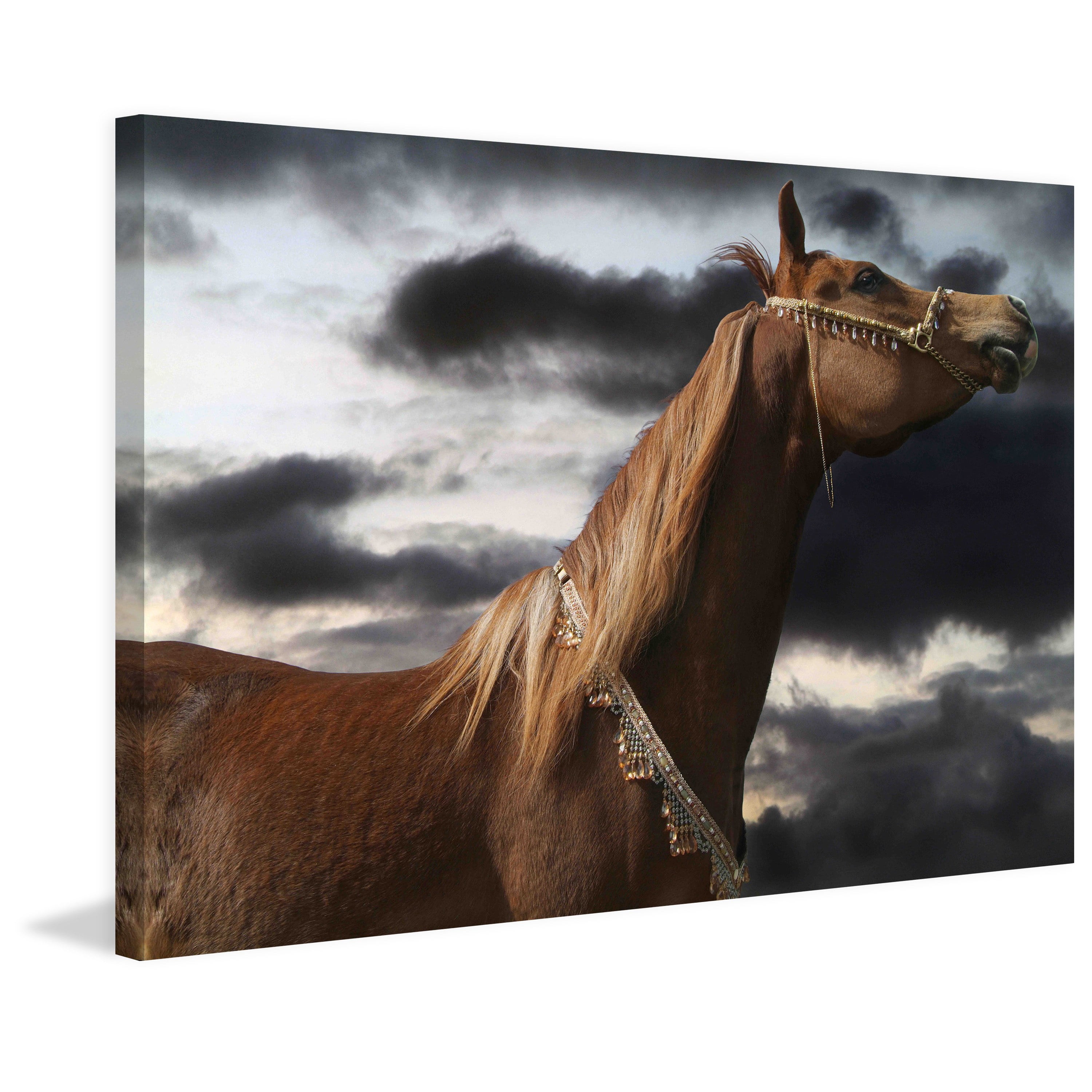Marmont Hill 'Rehannah' by Maggie Dee Painting Print on Wrapped Canvas