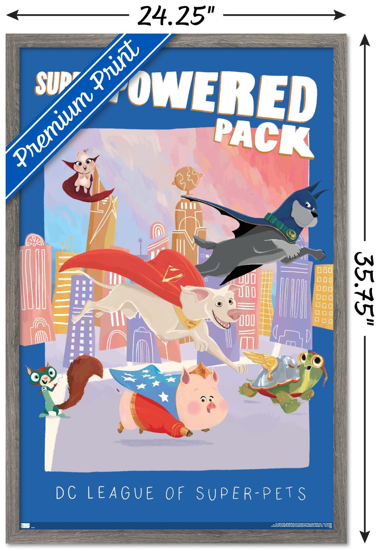 DC Comics Movie DC League of Super-Pets - Super-Powered Pack Wall Poster, 22.375" x 34" Framed
