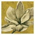 thumbnail image 2 of Goldberger, Jennifer 20x20 Gold Ornate Wood Framed with Double Matting Museum Art Print Titled - Ecru Magnolia II, 2 of 4