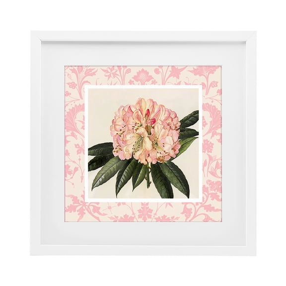 Stupell Industries Pink Pattern Botanical White Framed Print Under Glass, design by Livi Finn