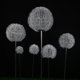 thumbnail image 5 of Luces solares para jardín al aire libre, luces LED de bola de diente de león, luces de bola de diente de león impermeables con energía solar, luz LED para camino de césped de jardín al aire libre para, 5 of 5