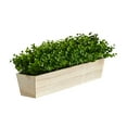 thumbnail image 3 of Nearly Natural 19in. Eucalyptus Artificial Plant in Decorative Planter, 3 of 4