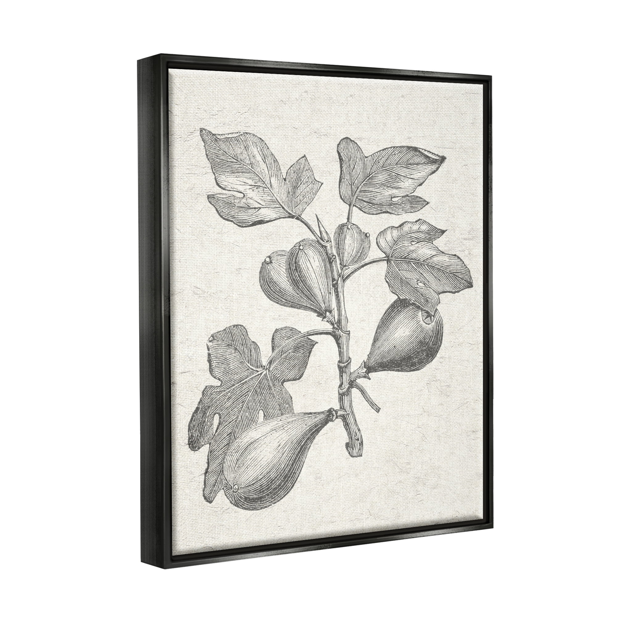 Stupell Industries Vintage Fig Plant Study Drawing Botanical & Floral Painting Black Floater Framed Art Print Wall Art