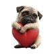 thumbnail image 5 of adornos colgantes de acrílico para ambientador de perro | Adornos planos para coche para mascotas | Accesorios de aromaterapia duraderos para amantes de los perros | Fragancia para interior de coche, 5 of 9