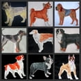 thumbnail image 3 of Amazing Custom Dog Portraits [Basset Hound ] Embroidery Iron On/Sew Patch (5.5" x 4")[Made in USA], 3 of 4