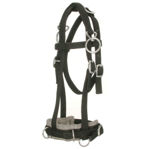 Tough-1 Miniature Horse Nylon Training Caveson