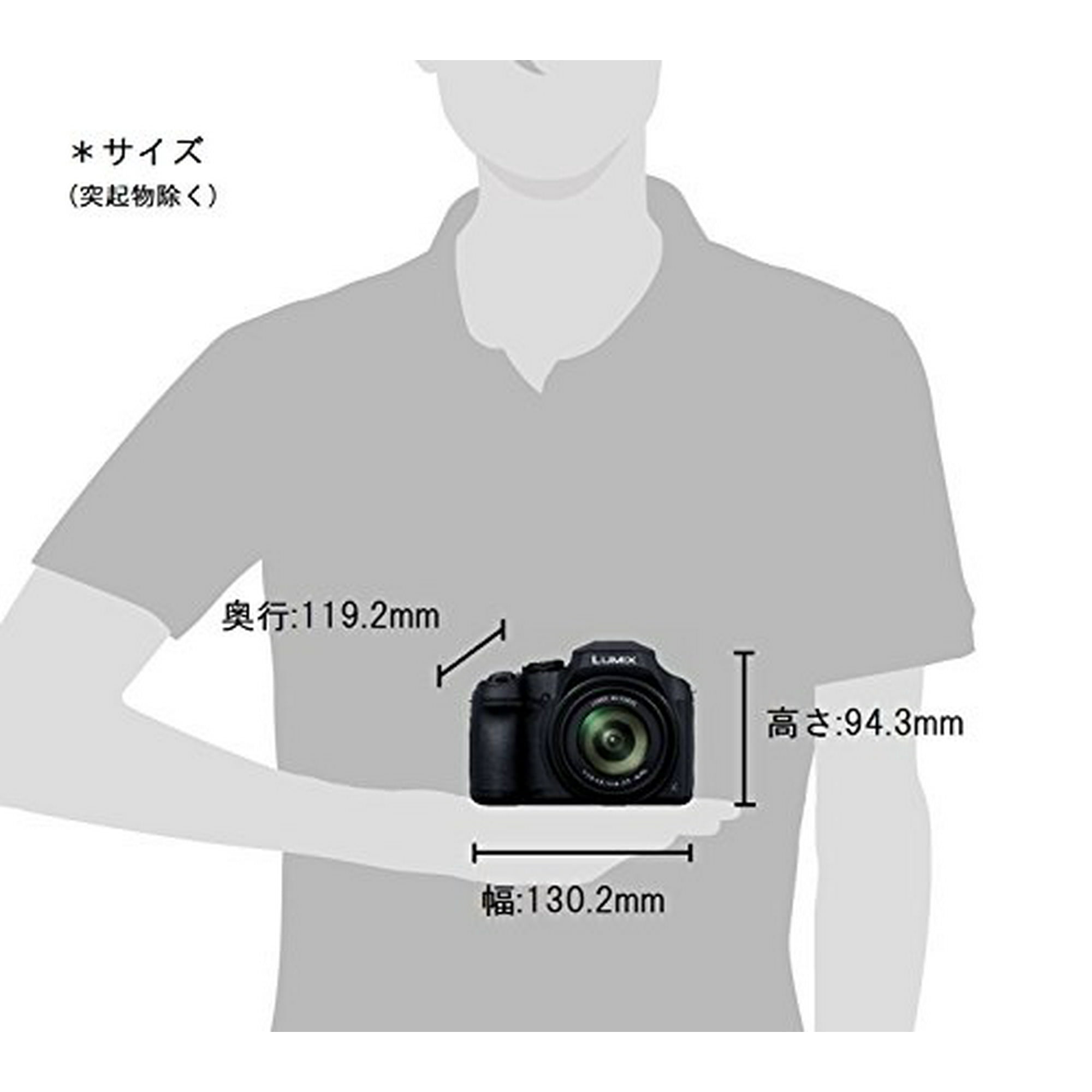 Panasonic Digital Camera Lumix FZ85 Black DC-FZ85--JAPAN IMPORT