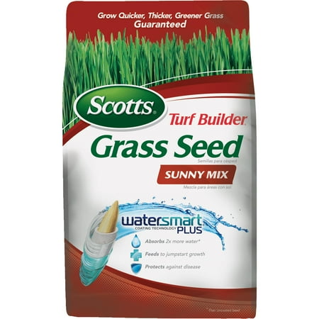 Kentucky Yard - Scotts Turf Builder Sunny Mix Grass Seed