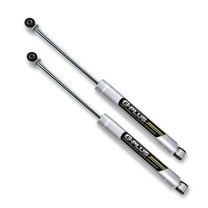 PIT66 Rear Shocks, Fit for 2009-2021 2WD 4WD Ford F-150/2010-2021 4WD Ford Raptor 0-3.5" N3 Rear Shocks Struts Lift Assemblies Kit…