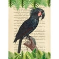 thumbnail image 3 of Lamanche, Stef 18x24 Black Modern Framed Museum Art Print Titled - The Palm Cockatoo- After Levaillant, 3 of 5