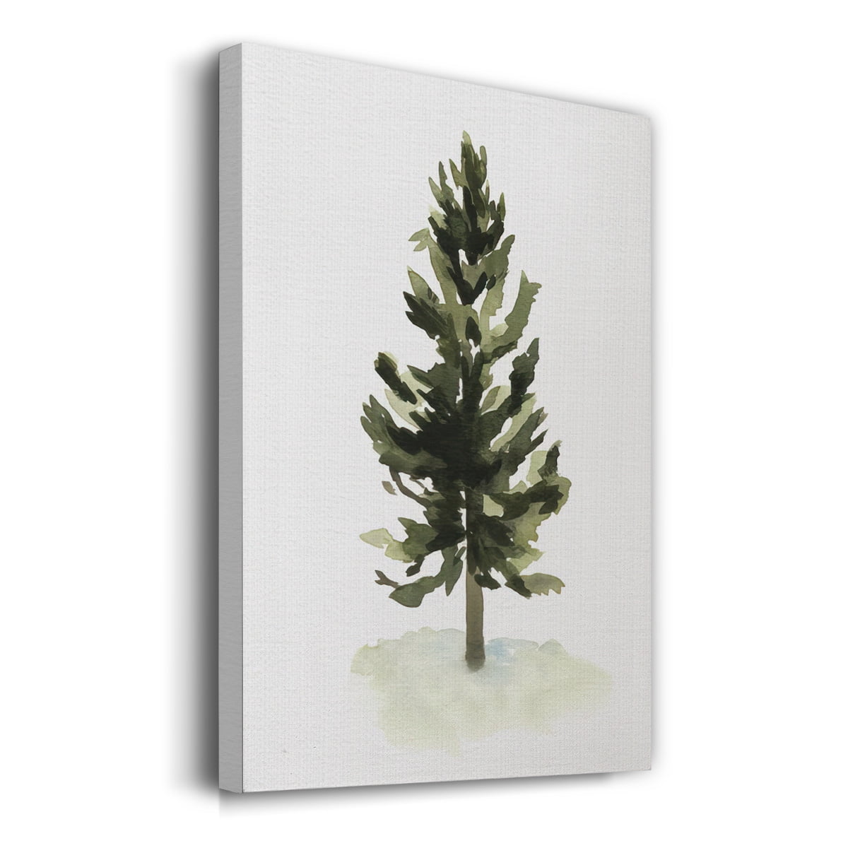 Watercolor Pine I- Gallery Wrapped Canvas