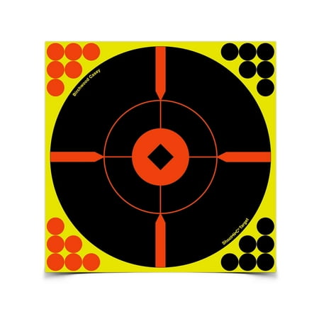 UPC: 0029057340150 | Birchwood Casey BMW-5 Shoot-N-C Round X 12 (Per 5)
