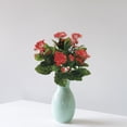 thumbnail image 3 of FBK107-FL 13,5 Po. Flame Kalanchoe Bush X5- Lot de 6, 3 of 4