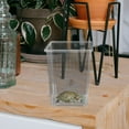 thumbnail image 3 of ifundom 3Pack Small Spider Enclosure for Reptile Enthusiasts with High Visibility 8.6X11CM, 3 of 7