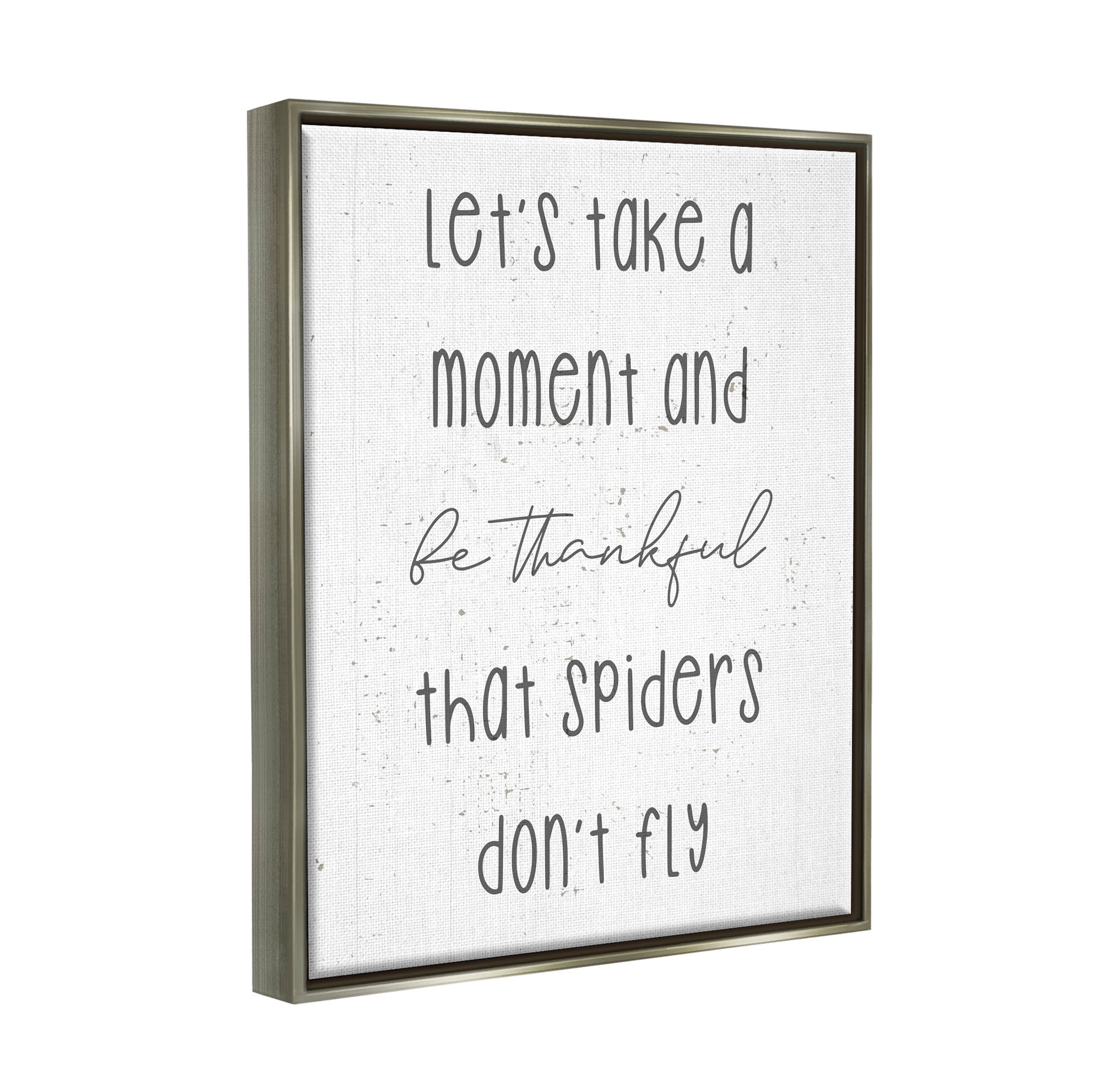 Stupell Industries Spiders Don't Fly Humor Graphic Art Luster Gray Floating Framed Canvas Print Wall Art, Design by Daphne Polselli