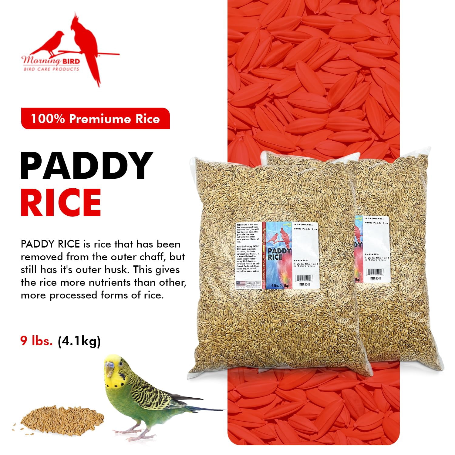 Morning Bird Paddy Rice 18 lbs (2-Pack, 9 lbs Each) – High-Quality Bird Seed for Optimal Health & Nutritious Pet Bird Food – Supports Feathers & Immunity – Ideal for all Seed Eating Birds