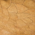 thumbnail image 1 of Ahgly Company Machine Washable Indoor Square Transitional Neon Orange Area Rugs, 4' Square, 1 of 7