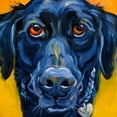 thumbnail image 2 of Townsend, Connie R. 12x12 Black Ornate Wood Framed with Double Matting Museum Art Print Titled - Black Dog, 2 of 4
