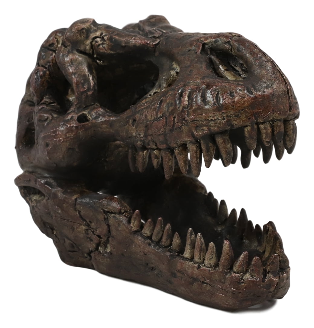 Faux Taxidermy Tyrannosaurus Rex Trex Dinosaur Head Fossil Small Skull