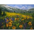 thumbnail image 2 of Oleson, Nanette 14x12 Black Ornate Wood Framed with Double Matting Museum Art Print Titled - Sierra Awakenings II, 2 of 4
