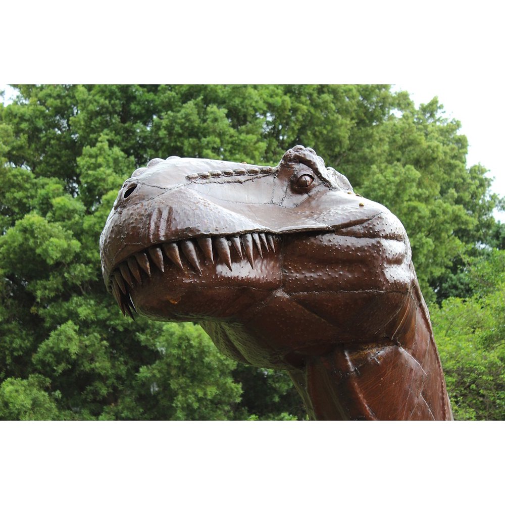 buy dinosaur teeth